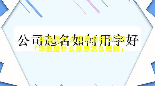 华盖是什么意思命相 🐛 「华盖是什么意思怎么理解」